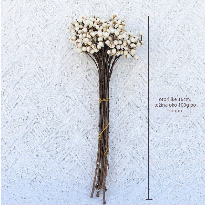 Sušeno cvijeće i vječni cvijet – DIY materijal za rekvizite za snimanje i kućnu dekoraciju – Linzi Flowers | Materijal: Suho cvijeće; Vječni cvijet | Obrada: Drugo | Marka: Linzi Flowers | Prigode darivanja: Diplomiranje, Novi dom, Zabave, Suosjećanje