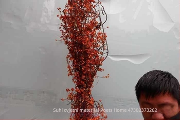 Grančice za aranžiranje košara s cvijećem, tekstura suhih vena lišća, neobojane, neuvožene