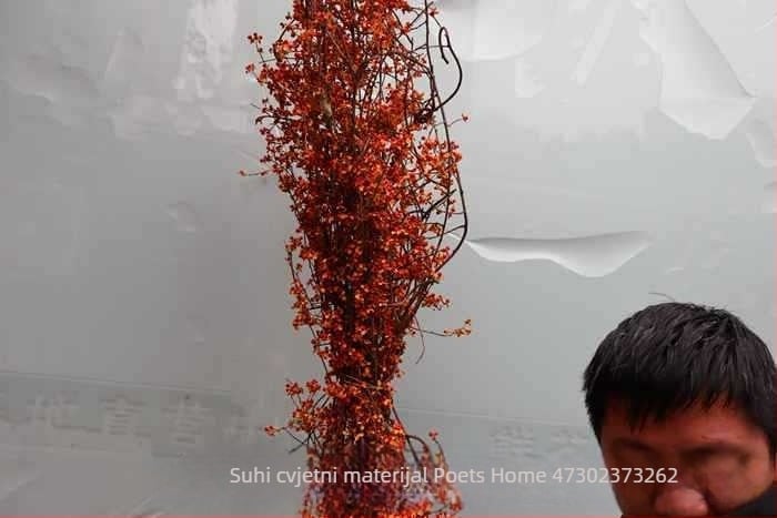 Grančice za aranžiranje košara s cvijećem, tekstura suhih vena lišća, neobojane, neuvožene