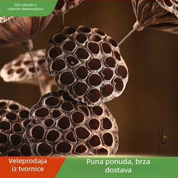 Prirodna sušena lotusova plodnica na metalnoj šipki — podna dekoracija i rekvizita za snimanje