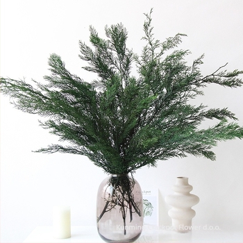 Već zimzelene grančice borova i ciprusa – dekorativni materijal za božićno drvce, suho cvijeće za DIY vijence, cvjetne aranžmane i bonsai dodaci | Marka: Dreamer quality dried flowers | Pakiranje: pamučna vrećica s posebnom kutijom