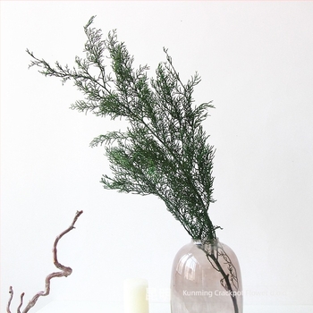Već zimzelene grančice borova i ciprusa – dekorativni materijal za božićno drvce, suho cvijeće za DIY vijence, cvjetne aranžmane i bonsai dodaci | Marka: Dreamer quality dried flowers | Pakiranje: pamučna vrećica s posebnom kutijom