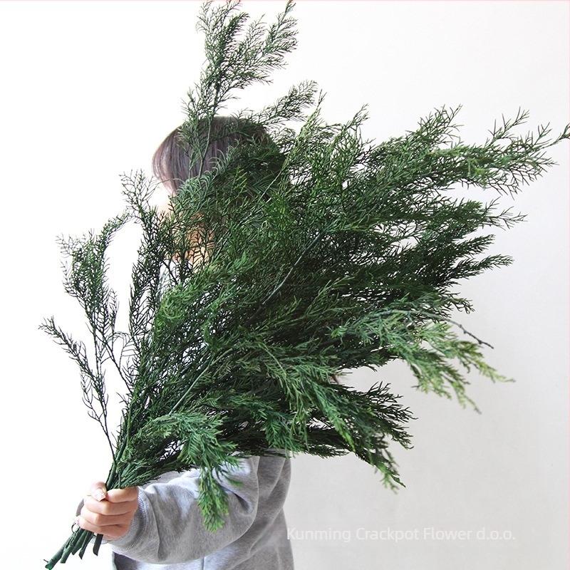 Već zimzelene grančice borova i ciprusa – dekorativni materijal za božićno drvce, suho cvijeće za DIY vijence, cvjetne aranžmane i bonsai dodaci | Marka: Dreamer quality dried flowers | Pakiranje: pamučna vrećica s posebnom kutijom