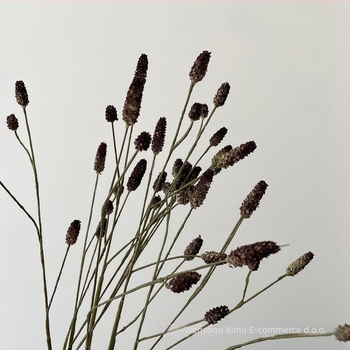 Umjetni Groundsel cvjetni rekvizit za dnevni boravak – fotografiranje scenografije, dizajn cvijeća; jesen-zima voće • Materijal: Plastika, Bule; Izrada: Drugo; Vrsta: Drugo; Svrha: Drugo