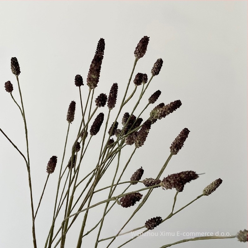 Umjetni Groundsel cvjetni rekvizit za dnevni boravak – fotografiranje scenografije, dizajn cvijeća; jesen-zima voće • Materijal: Plastika, Bule; Izrada: Drugo; Vrsta: Drugo; Svrha: Drugo