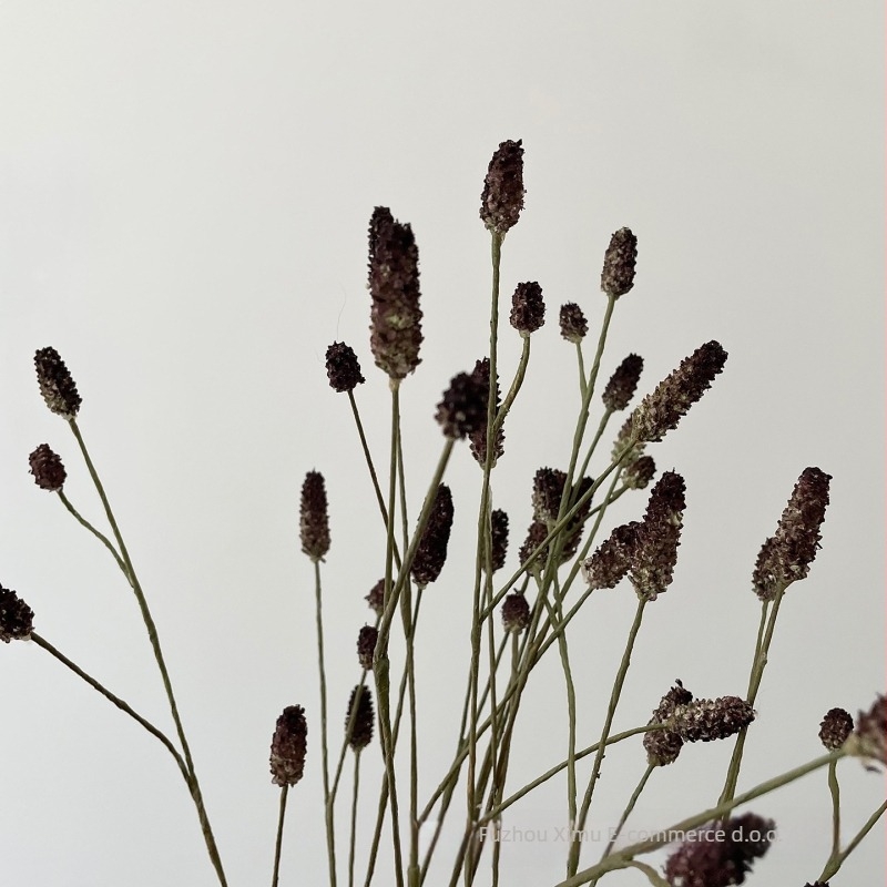 Umjetni Groundsel cvjetni rekvizit za dnevni boravak – fotografiranje scenografije, dizajn cvijeća; jesen-zima voće • Materijal: Plastika, Bule; Izrada: Drugo; Vrsta: Drugo; Svrha: Drugo