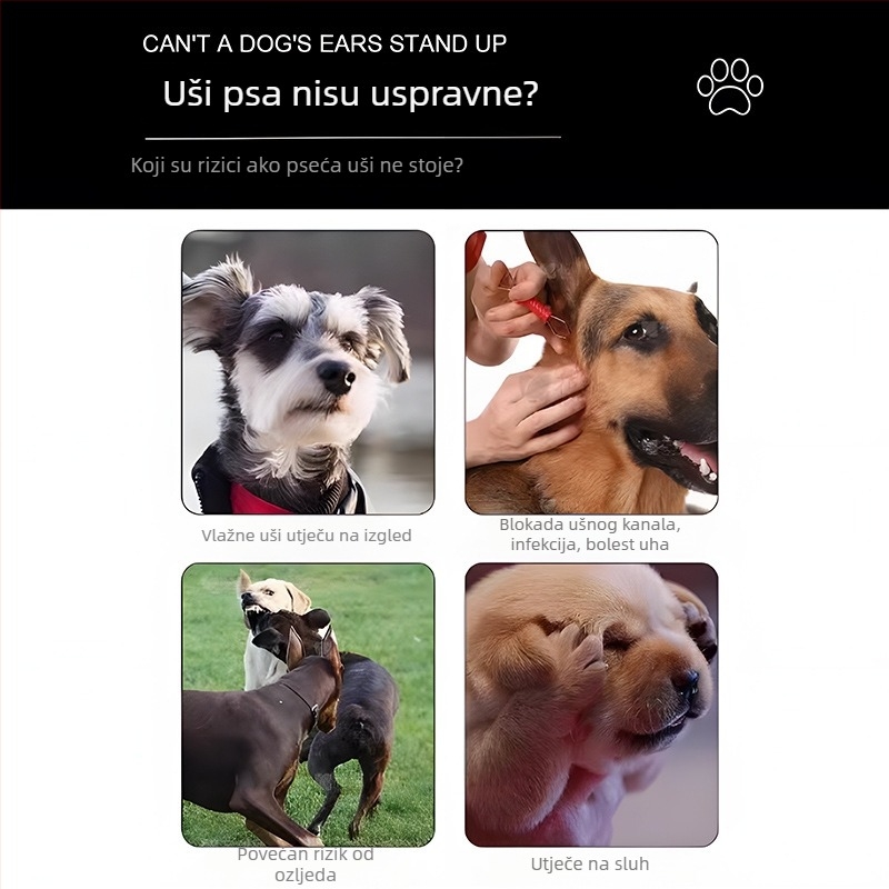 Ure za fiksiranje ušiju psa - Plastika; Kutija od 100 komada; Za pse (Materijal: Plastika; Pakiranje: 100 komada; Namjena: Psi)