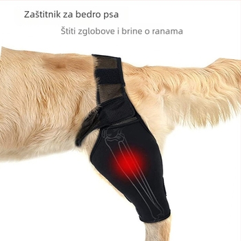 Podrška za ozljede psa: zaštitne navlake za prednje i stražnje noge, prilagodljivi postoperativni zaštitni ulošci za koljeno i bedro — OEM marka, laneno vlakno, nije uvoz