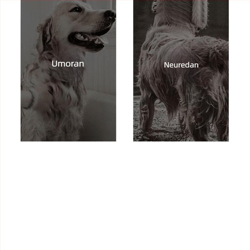 All-in-One sušilo za dlaku za kućne ljubimce s češljem – brzo sušenje za pse i mačke, 2000W+, ≤36V, univerzalna uporaba