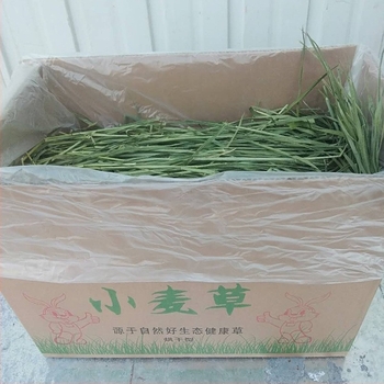 Suha hrana Longteng Planting pšenično sijeno 1kg