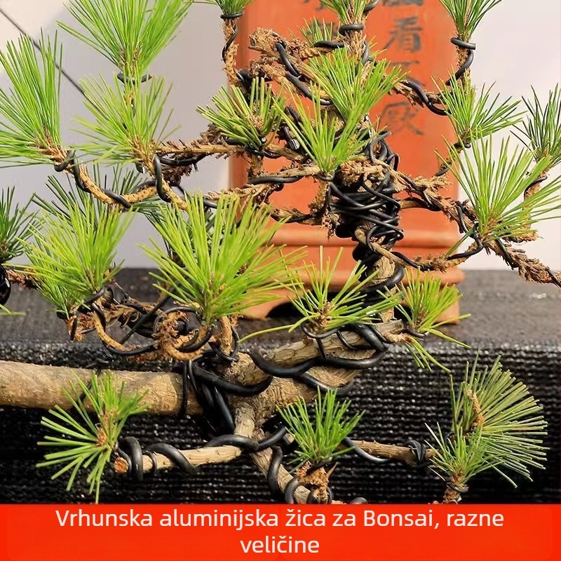 Aluminijska žica za oblikovanje bonsaja i aluminijske trake — 3-dijelni set za vrtlarstvo