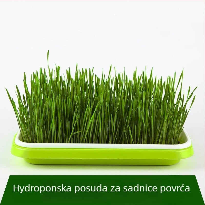 Hidroponska posuda za klijanje grahorica, PP, regulirani izlaz vode, fiksni izlaz
