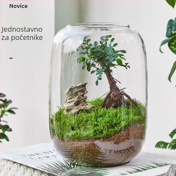 DIY ekološka boca krajine — staklo visoke otpornosti; kartonsko pakiranje; postavljanje na površinu; nije poklon; nije uvezeno