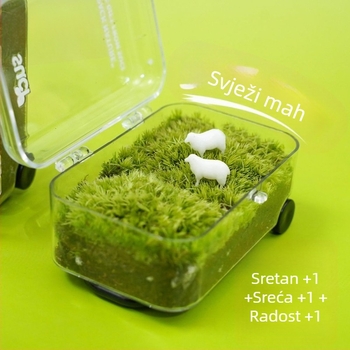 Moha mikrolandska ekološka boca – jednostavan i moderan stil, ručno izrađena plastična dekoracija za dar (Materijal: plastika; Stil: jednostavan i moderan; Ručno izrađeno; Ispis logotipa moguć)
