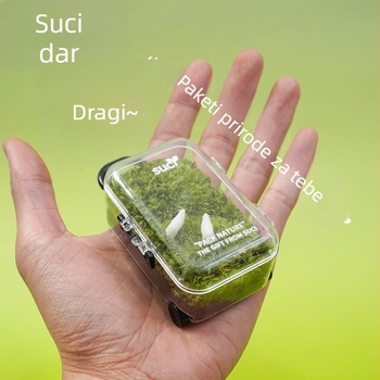 Moha mikrolandska ekološka boca – jednostavan i moderan stil, ručno izrađena plastična dekoracija za dar (Materijal: plastika; Stil: jednostavan i moderan; Ručno izrađeno; Ispis logotipa moguć)