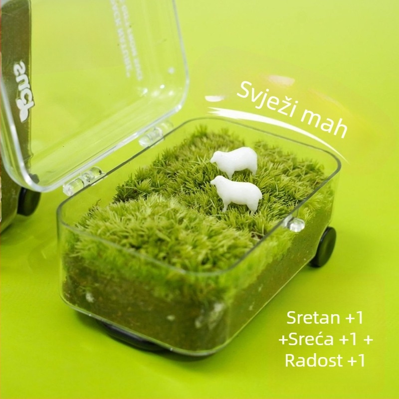 Moha mikrolandska ekološka boca – jednostavan i moderan stil, ručno izrađena plastična dekoracija za dar (Materijal: plastika; Stil: jednostavan i moderan; Ručno izrađeno; Ispis logotipa moguć)