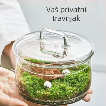 Terrarium s živim mahom — mikropejzaž mahom u staklenu posudu od borosilikatnog stakla, DIY unutarnja dekoracija