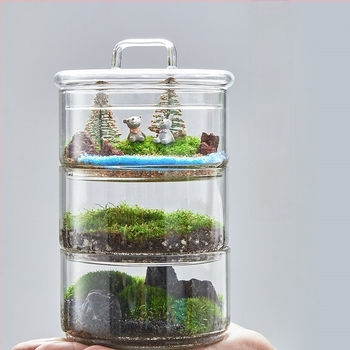 Terrarium s živim mahom — mikropejzaž mahom u staklenu posudu od borosilikatnog stakla, DIY unutarnja dekoracija