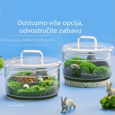 Terrarium s živim mahom — mikropejzaž mahom u staklenu posudu od borosilikatnog stakla, DIY unutarnja dekoracija