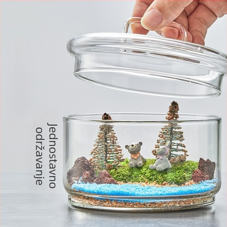 Terrarium s živim mahom — mikropejzaž mahom u staklenu posudu od borosilikatnog stakla, DIY unutarnja dekoracija