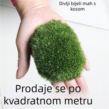 Mikro krajolik od mahovine za DIY s ukrasima — Ye Zun Crafts, biljni materijal: biljka, pakiranje u kutiju