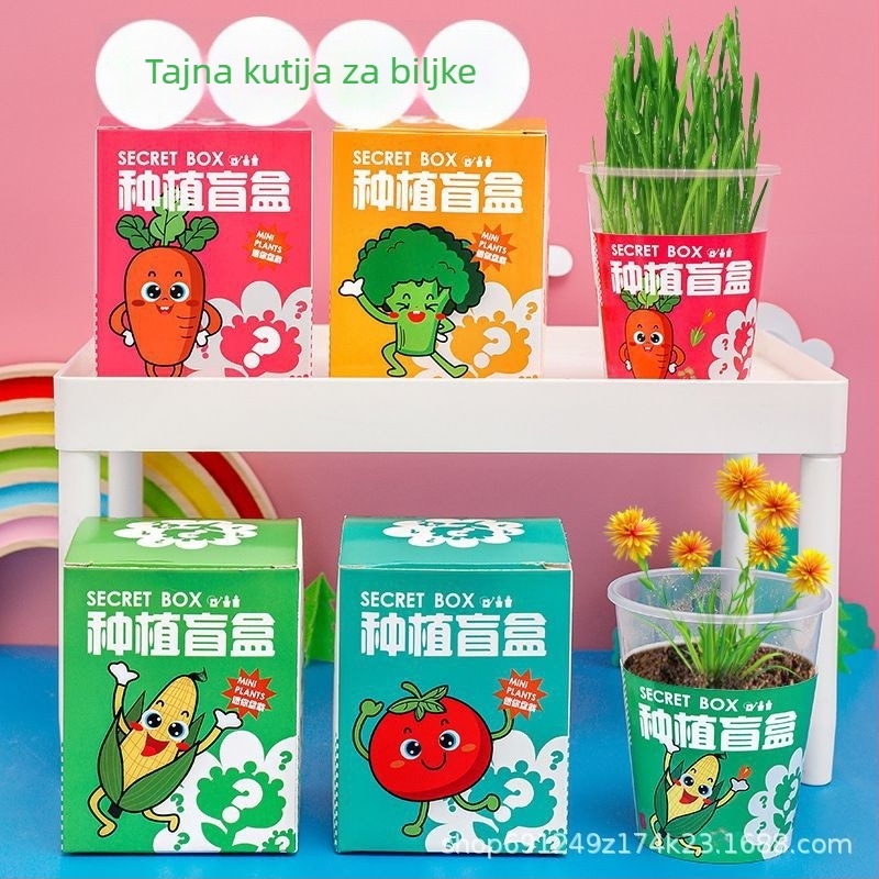 Dječji DIY set za sobne biljke — sjemenke za zelene biljke u lončiće, plastični dijelovi, Idol, svježi stil, pakirano u papirnatu kutiju