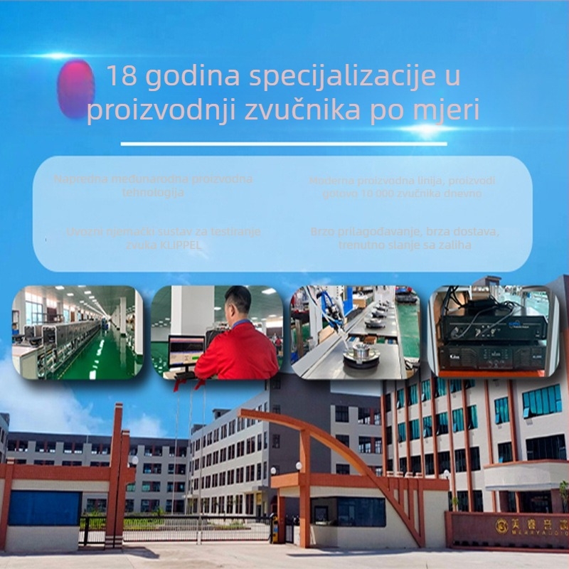 Meirui 100 Magnetski visokofrekvencijski tweeter s 44 jezgroma – za zabavu, KTV, konferencije i velike dvorane – pogonski glavni zvučnik