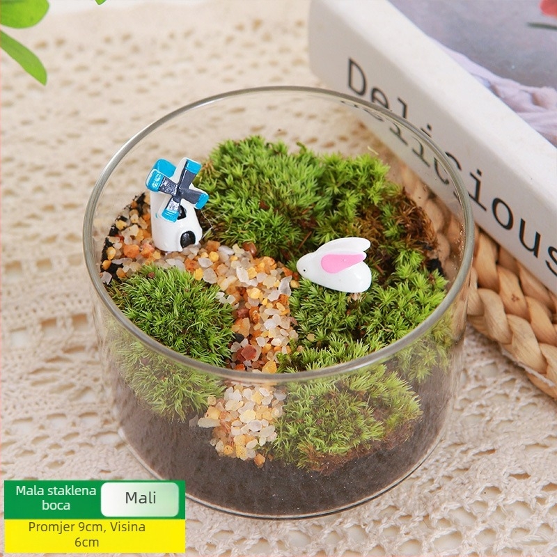 DIY set za mikros pejzaž s mahovinom — materijali za cilindričnu bočicu, kreativni obiteljski radovi, mini zelene biljke, poslovni poklon