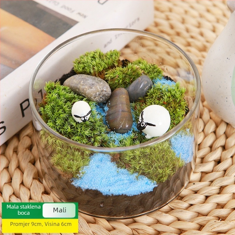 DIY set za mikros pejzaž s mahovinom — materijali za cilindričnu bočicu, kreativni obiteljski radovi, mini zelene biljke, poslovni poklon