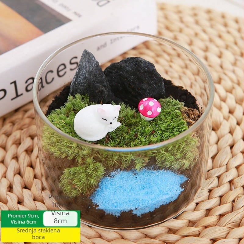 DIY set za mikros pejzaž s mahovinom — materijali za cilindričnu bočicu, kreativni obiteljski radovi, mini zelene biljke, poslovni poklon
