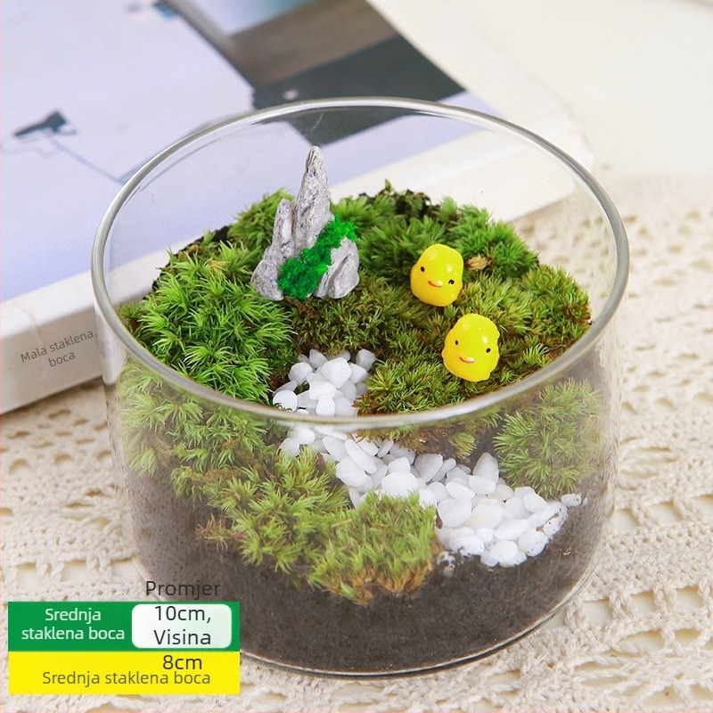 DIY set za mikros pejzaž s mahovinom — materijali za cilindričnu bočicu, kreativni obiteljski radovi, mini zelene biljke, poslovni poklon