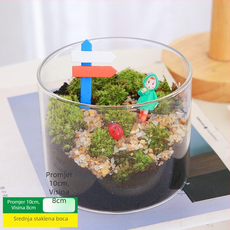 DIY set za mikros pejzaž s mahovinom — materijali za cilindričnu bočicu, kreativni obiteljski radovi, mini zelene biljke, poslovni poklon