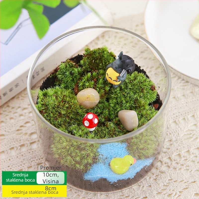 DIY set za mikros pejzaž s mahovinom — materijali za cilindričnu bočicu, kreativni obiteljski radovi, mini zelene biljke, poslovni poklon