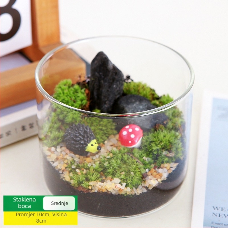 DIY set za mikros pejzaž s mahovinom — materijali za cilindričnu bočicu, kreativni obiteljski radovi, mini zelene biljke, poslovni poklon