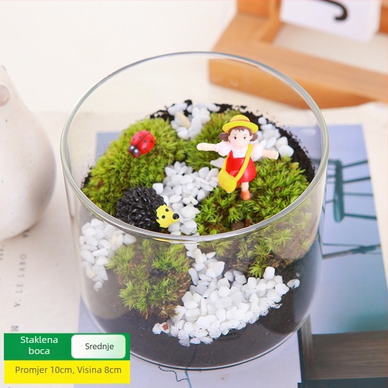 DIY set za mikros pejzaž s mahovinom — materijali za cilindričnu bočicu, kreativni obiteljski radovi, mini zelene biljke, poslovni poklon