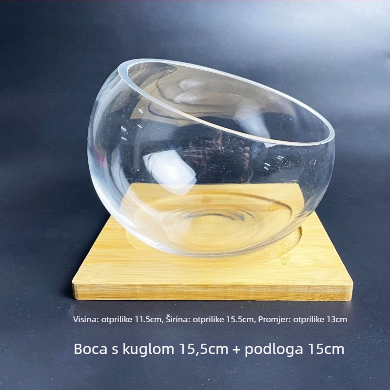 Staklena boca s mahom, mikropejzažni ekološki akvarij za zlatne ribice — dizajn s kružnim otvorom, sukulenti; Marka: Small Space Big World; Pakiranje: karton; Prikaz: na površini