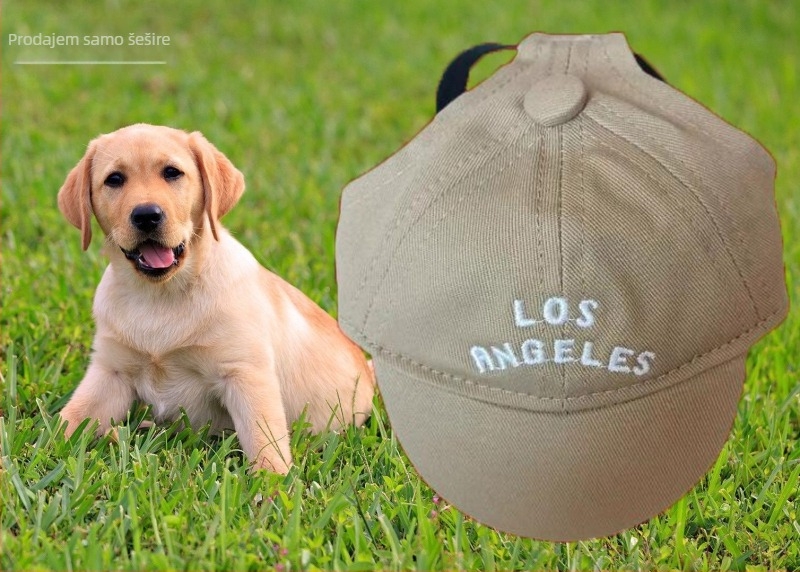 Šešir za psa – baseball kapa s izšivkom, materijal plastika, Twill tkanina, stil Japana i Južne Koreje, pogodan za četiri sezone