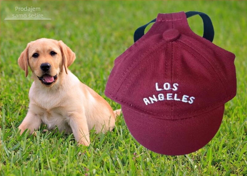 Šešir za psa – baseball kapa s izšivkom, materijal plastika, Twill tkanina, stil Japana i Južne Koreje, pogodan za četiri sezone