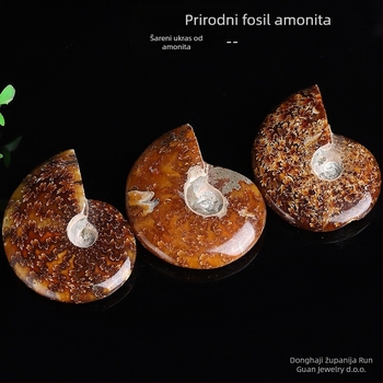 Kristalni kamen – fosilni ammonit morska školjka, prirodno, Runguan Jewelry, Kategorija: Kristalni kamen, Pakiranje: PP vrećica, Materijal: Kristal