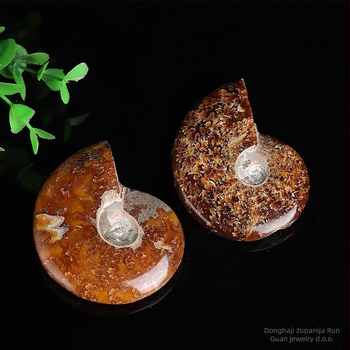Kristalni kamen – fosilni ammonit morska školjka, prirodno, Runguan Jewelry, Kategorija: Kristalni kamen, Pakiranje: PP vrećica, Materijal: Kristal