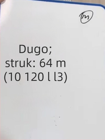 Ženske trening hlače s visokim strukom i šniranjem, slobodan kroj, prugaste, pamuk-elastan smjesa