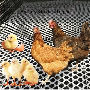 Deblja mrežasta podloga za uzgoj peradi – protuklizna, sprječavanje curenja, plastična mreža za uzgoj
