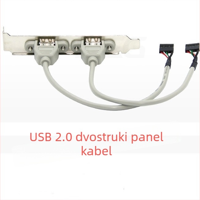 USB 2.0 stražnji panel s dvostrukim USB priključcima za kućište računala, duljina 0,3 m, bakreni vodič, injekcijsko oblikovanje