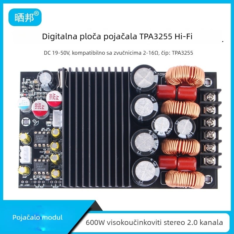 Sunbang 600W HiFi digitalno pojačalo ploča (dvokanalska, TPA3255)