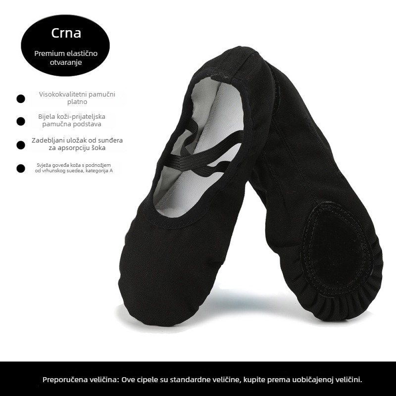 Plesne cipele - unisex (za muškarce i žene); marka The Art of Autumn; potplat od kože; za balet, moderni ples i latino ples; pogodne za plesne sportove