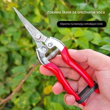 911 Inox nožice za voće i cvijeće, zigzag oštrica, za branje voća i grožđa — Sasaki Field
