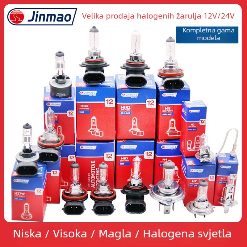 H3 LED auto prednja svjetiljka – 55/100 W, 12/24 V, 6000 lm, stakleni poklopac lampe