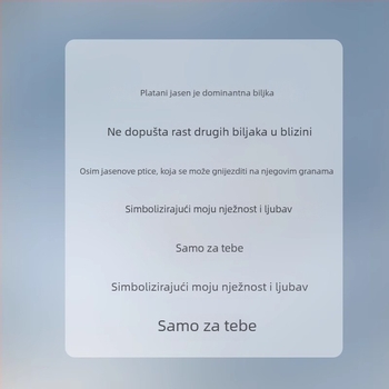 Par prstena od srebra 999 s motivom plavog eukaliptusa i ptice, podesivi, poklon za Dan zaljubljenih