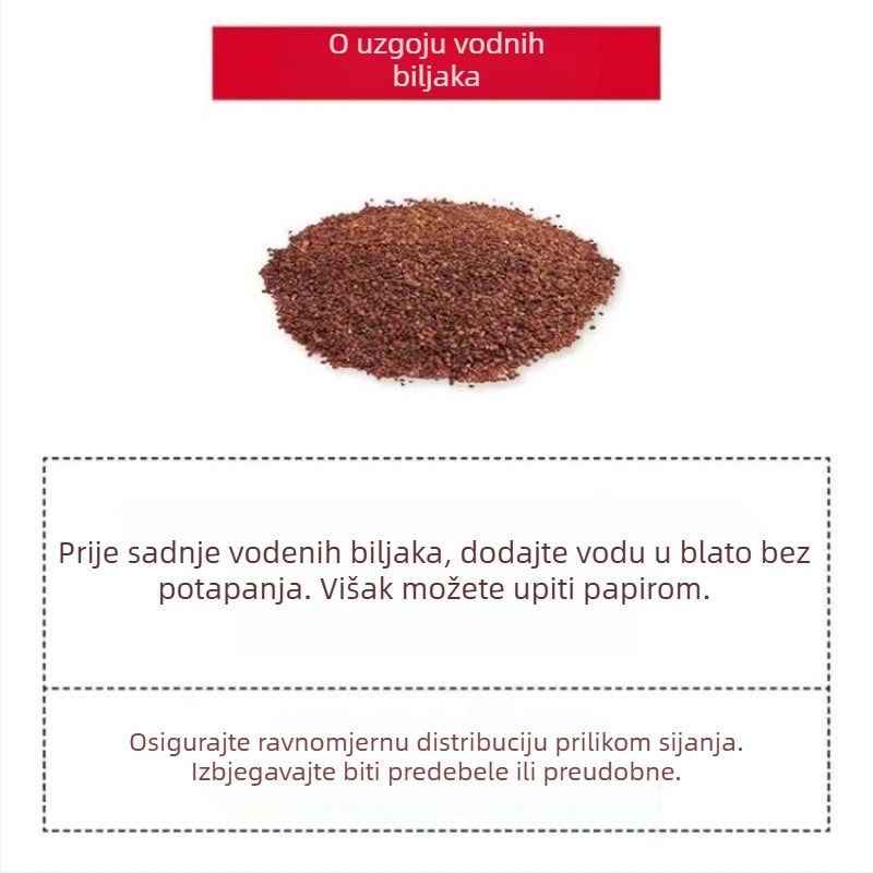 Hidroponska ekološka boca za stolni dekor – mikro krajolik s vodnim biljkama i sjemenkama