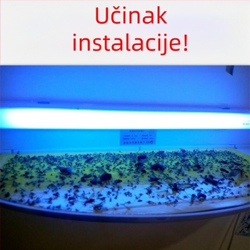 Zidna lipljiva lampa za komarce za restorane i hotele, UV svjetlosna zamka, pokriće 61 m²+, ABS kućište, 1 godina jamstva